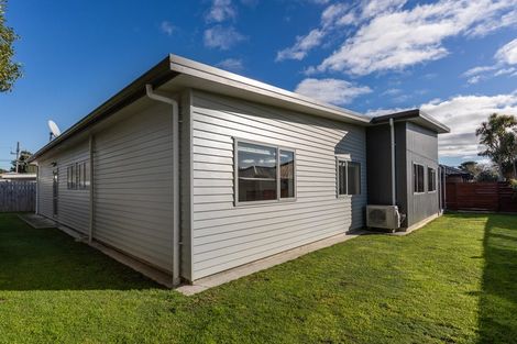 Photo of property in 52a Mako Mako Road, Levin, 5510