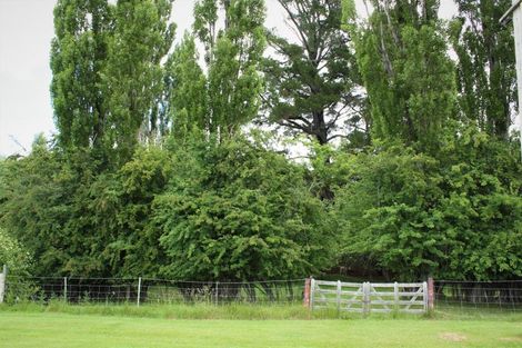 Photo of property in 135 Cambrian Road, Cambrians, Omakau, 9386