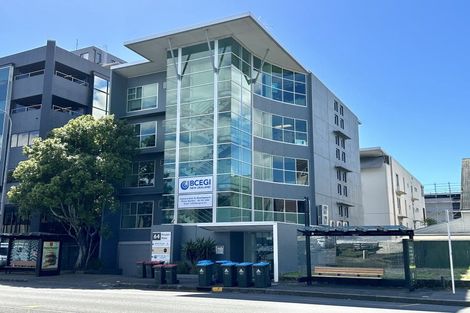 Photo of property in 8a Madeira Lane, Grafton, Auckland, 1023