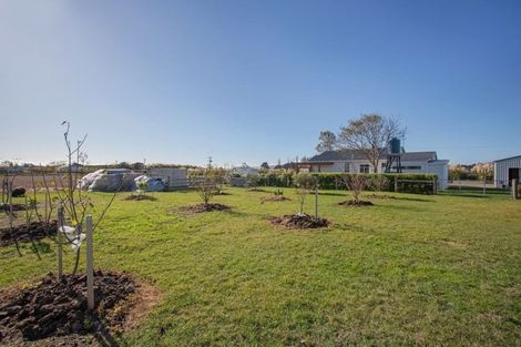 Photo of property in 748 Hudsons Road, Motukarara, Christchurch, 7674