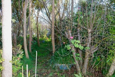 Photo of property in 60 Marumaru Street, Marton, 4710