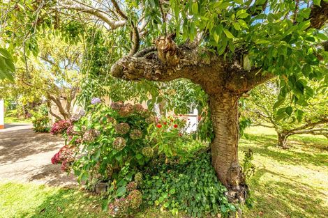 Photo of property in 28 Rimu Street, Gonville, Whanganui, 4501