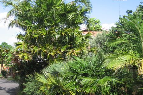 Photo of property in 11 Glade Place, Birkenhead, Auckland, 0626