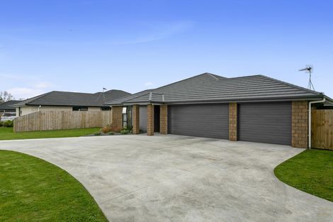 Photo of property in 5 Moroney Place, Matamata, 3400