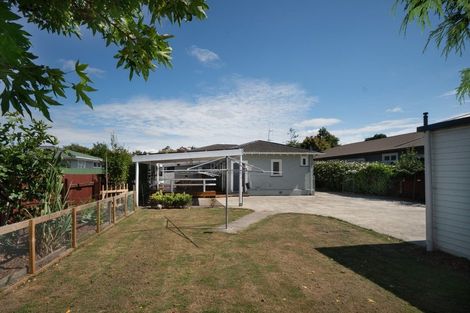 Photo of property in 45 Miro Street, Takaro, Palmerston North, 4410