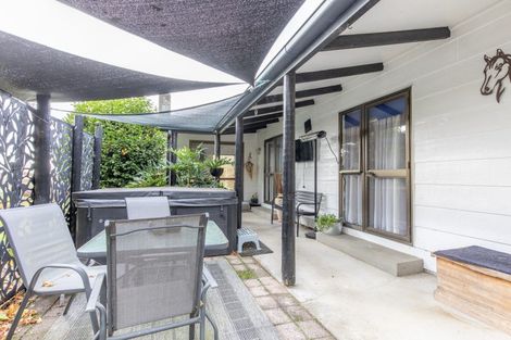 Photo of property in 128 Mangatarata Road, Waipukurau, 4285