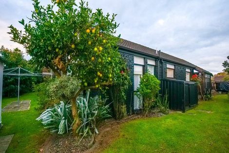 Photo of property in 22 Weka Street, Matamata, 3400