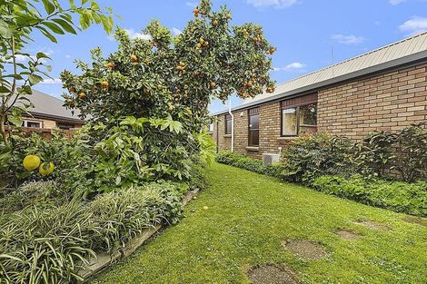 Photo of property in 60 Stirling Drive, Morrinsville, 3300