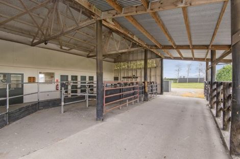 Photo of property in 816 Springs Road, Prebbleton, Christchurch, 7676