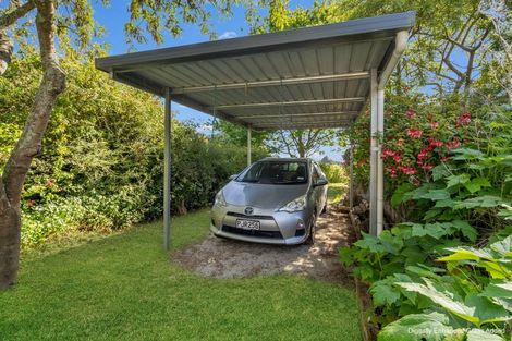 Photo of property in 59 Derby Street, Hampden, 9410