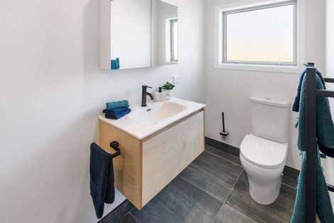 Photo of property in 42a Dorset Street, Levin, 5510