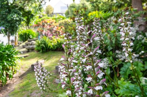 Photo of property in 78 Santa Maria Avenue, Mount Pleasant, Christchurch, 8081