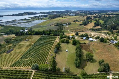 Photo of property in 146 Eden Road, Tasman, Upper Moutere, 7175