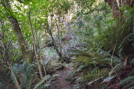 Photo of property in 4a Ronay Street, Bradford, Dunedin, 9011