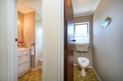 Photo of property in 633b Ferguson Street, Terrace End, Palmerston North, 4410