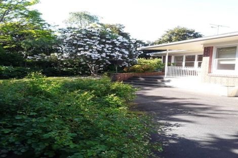 Photo of property in 25 Pencarrow Road, Tamahere, Hamilton, 3283