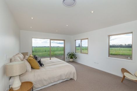 Photo of property in 435 Tararua Road, Levin, 5571