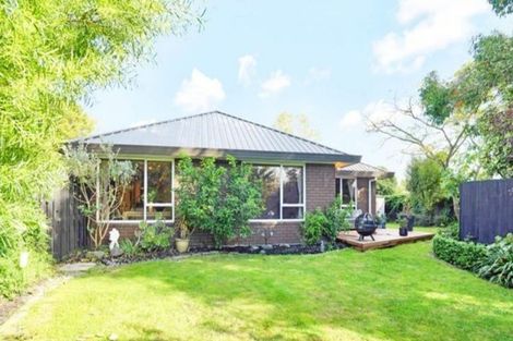 Photo of property in 60b Opawa Road, Waltham, Christchurch, 8023