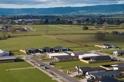 Photo of property in 20 Rangitihi Street, Matamata, 3400