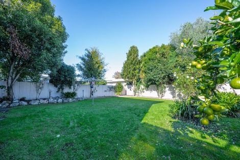 Photo of property in 720 Seddon Street, Raureka, Hastings, 4120