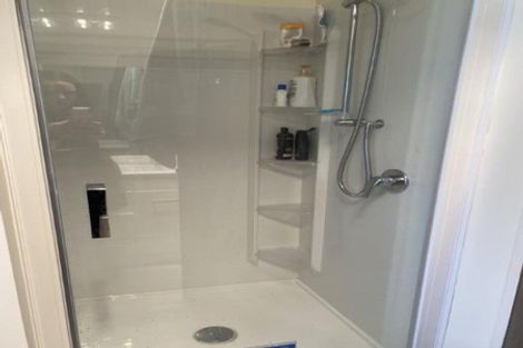 Photo of property in 224 Albert Street, Hokowhitu, Palmerston North, 4410