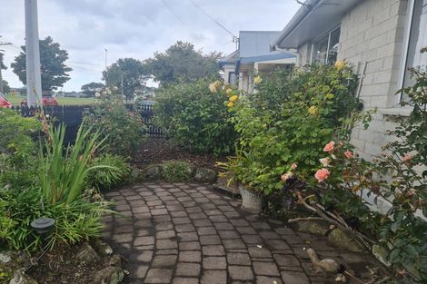 Photo of property in 13a Helena Street, Forbury, Dunedin, 9012