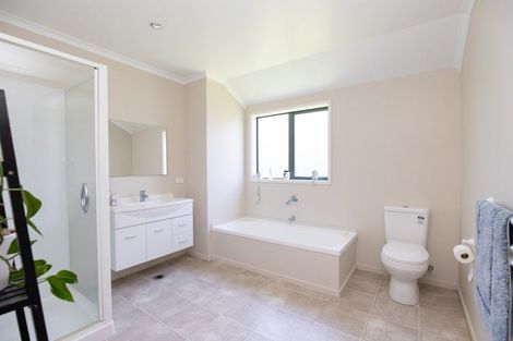 Photo of property in 55 Darlington Street, Ngatea, 3503