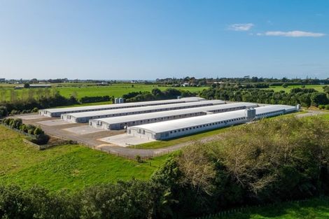 Photo of property in 116 Ngatimaru Road, Tikorangi, Waitara, 4383