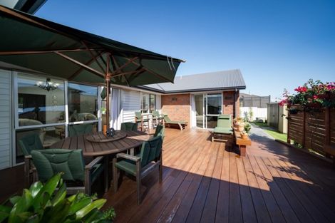 Photo of property in 146 Rowesdale Drive, Ohauiti, Tauranga, 3112