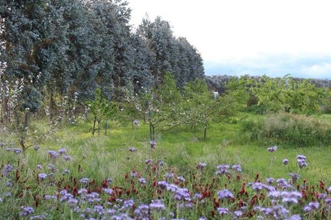 Photo of property in 460 Gladstone Road, Gladstone, Carterton, 5792