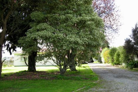 Photo of property in 147 Roslyn Road, Levin, 5510