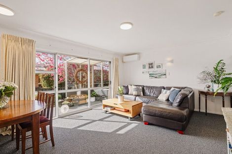 Photo of property in 80b Ridge Street, Otumoetai, Tauranga, 3110