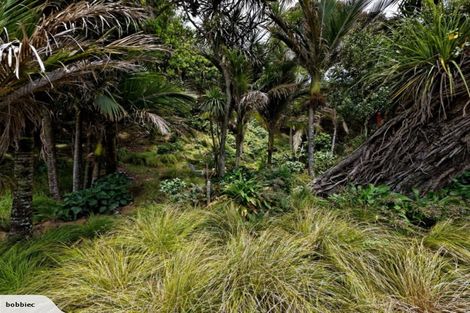 Photo of property in 54 Beach Valley Road, Piha, New Lynn, 0772