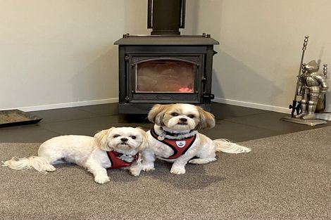 Photo of property in 23 Bridge Street, Southbridge, 7602