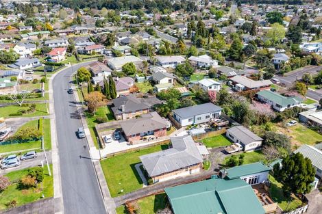 Photo of property in 14 Rembrandt Place, Opaheke, Papakura, 2113