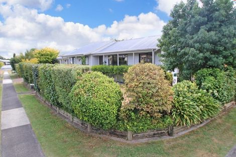 Photo of property in 42 Hibiscus Avenue, Hamilton Lake, Hamilton, 3204