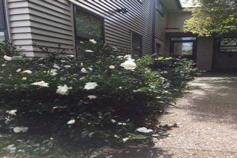 Photo of property in 27a Fergusson Avenue, Sandringham, Auckland, 1025