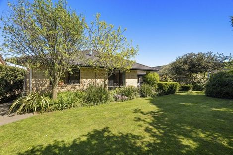 Photo of property in 6 Fuchsia Place, Springlands, Blenheim, 7201