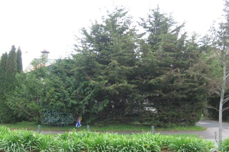 Photo of property in 32 Mill Street, Whitiora, Hamilton, 3200