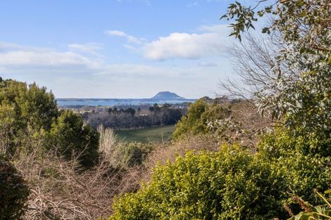 Photo of property in 173 Thompsons Track, Aongatete, Katikati, 3178