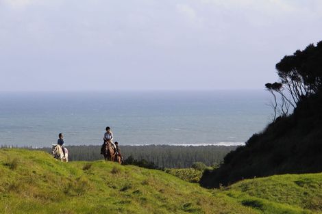 Photo of property in 541 Wilson Road, South Head, Helensville, 0874