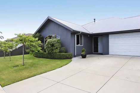 Photo of property in 101 Russell Robertson Drive, Havelock North, 4130