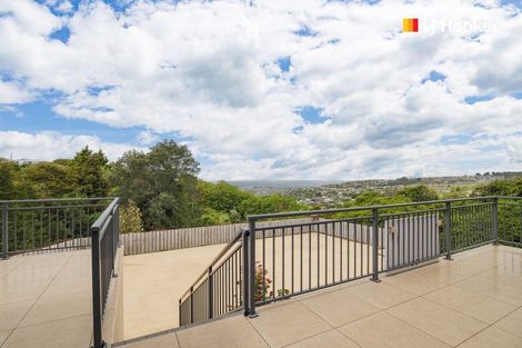 Photo of property in 21 Blackford Street, Balaclava, Dunedin, 9011