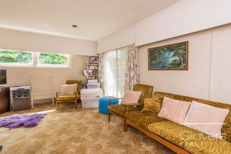 Photo of property in 114 Sturges Road, Henderson, Auckland, 0612