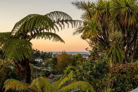 Photo of property in 7 Ngatitama Street, Nelson South, Nelson, 7010