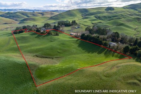 Photo of property in 930 Te Aute Trust Road, Poukawa, 4178