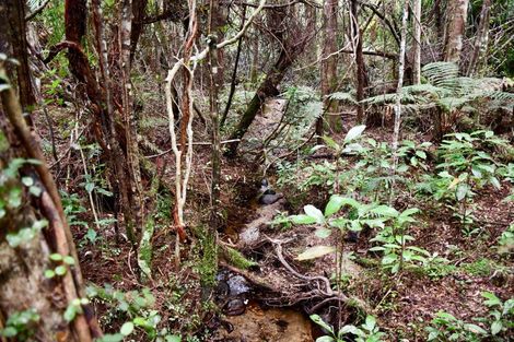 Photo of property in 70 Sunset Heights Road, Karamea, 7893