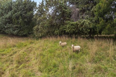 Photo of property in 103 Neudorf Road, Upper Moutere, 7175