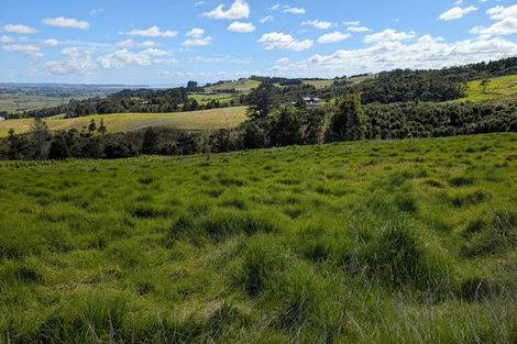 Photo of property in 421 Kiwitahi Road, Helensville, 0875