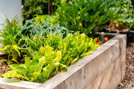 Photo of property in 37 William Gilbert Drive, Mangawhai, 0505